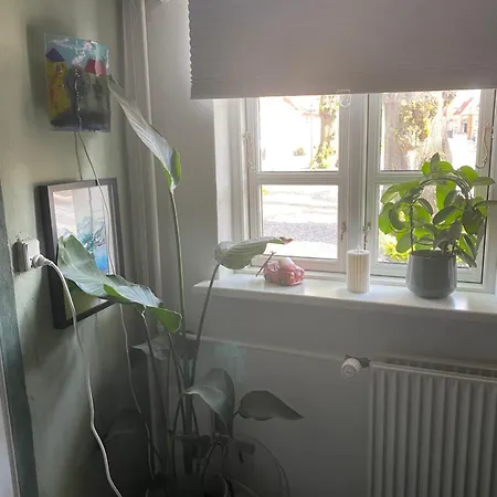 Appartement Small And Cozy